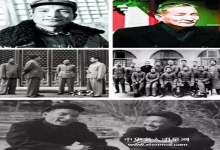  开国元帅：对越反击战在忙什么？