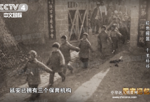  炮火中辗转三千里无一人伤亡，这场“娃娃长征”旷古未有