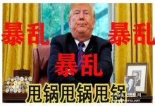  震惊西方制度：美国白人警察杀死黑人事件引发世界性示威