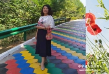  宁爱莉：优秀历史文化的传承者