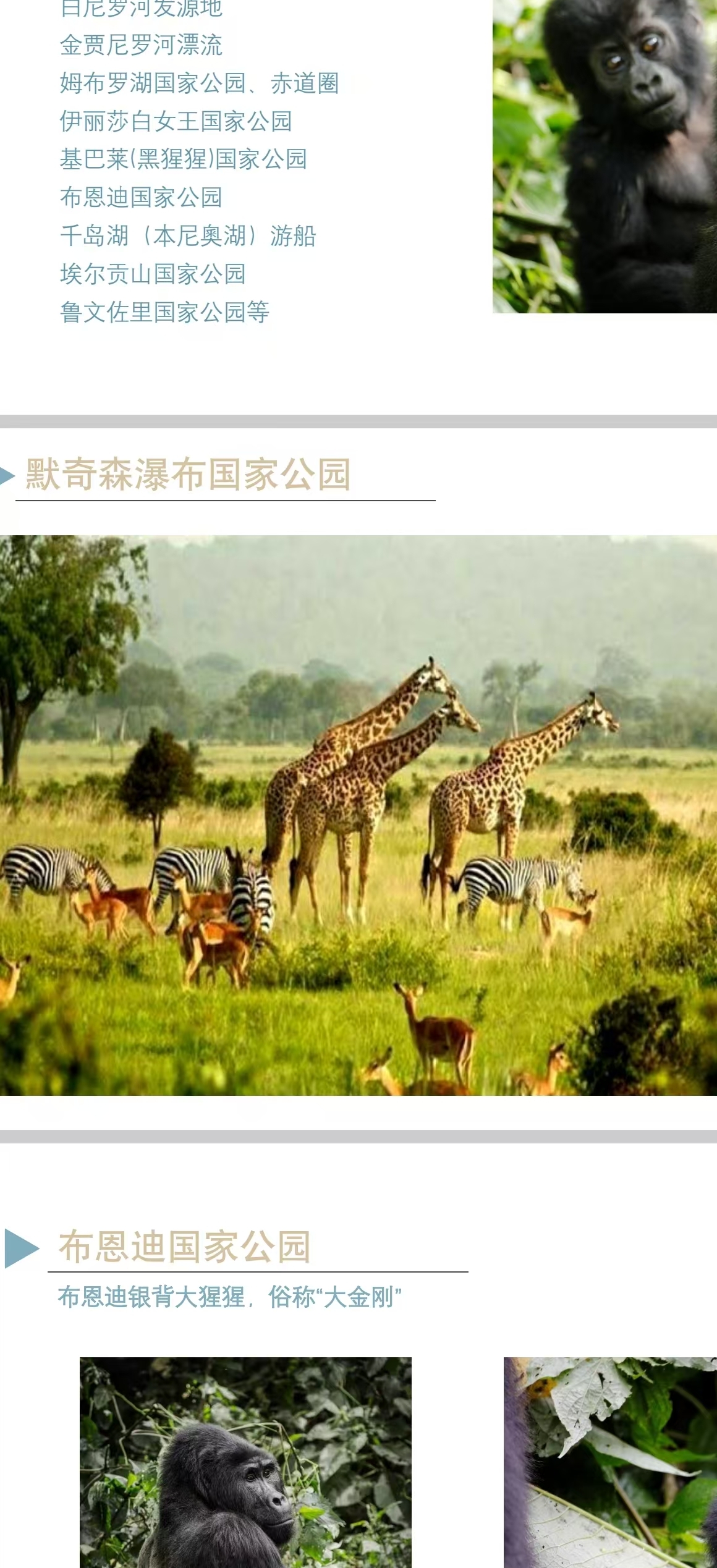 微信图片编辑_20241224131914